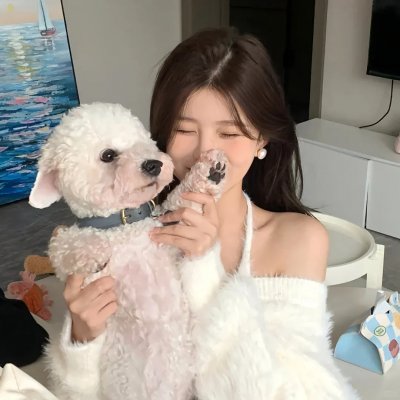 沙普的挑战